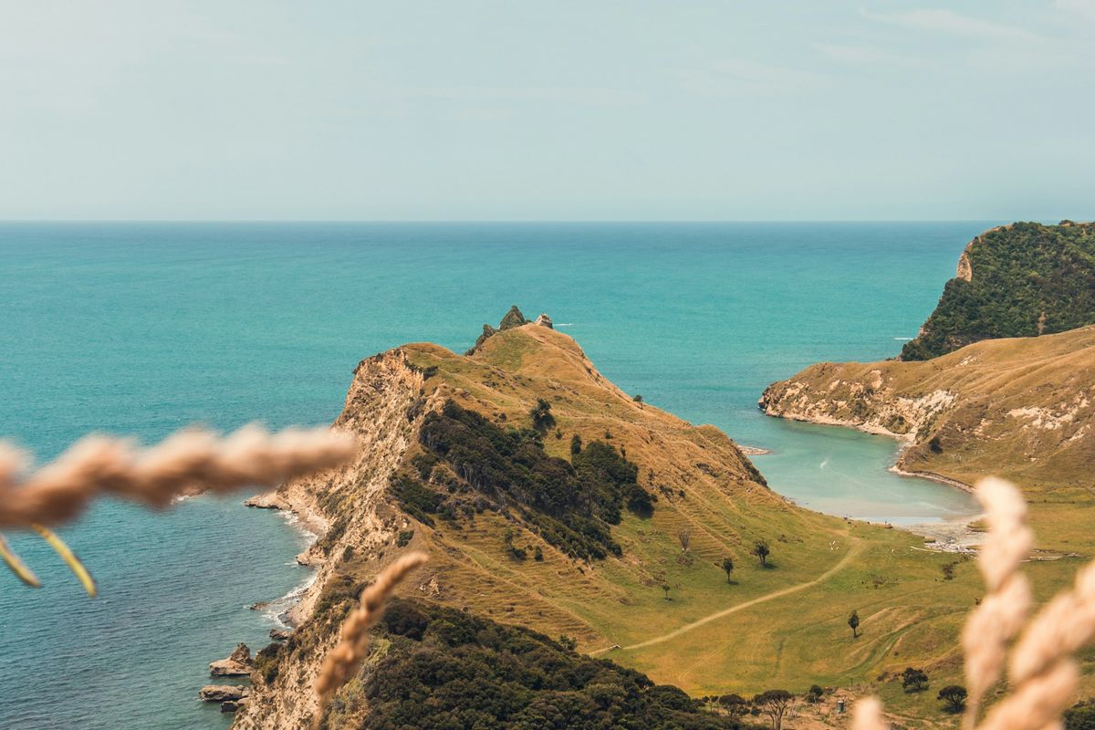 Coastal headland and turquoise water north of Gisborne