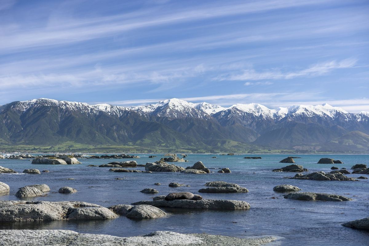 Rocky Kaikōura shoreline beneath the snow-capped Seaward Kaikōura Range