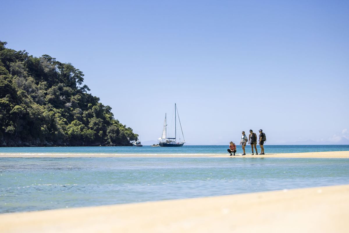 Golden beach and coastline near Nelson