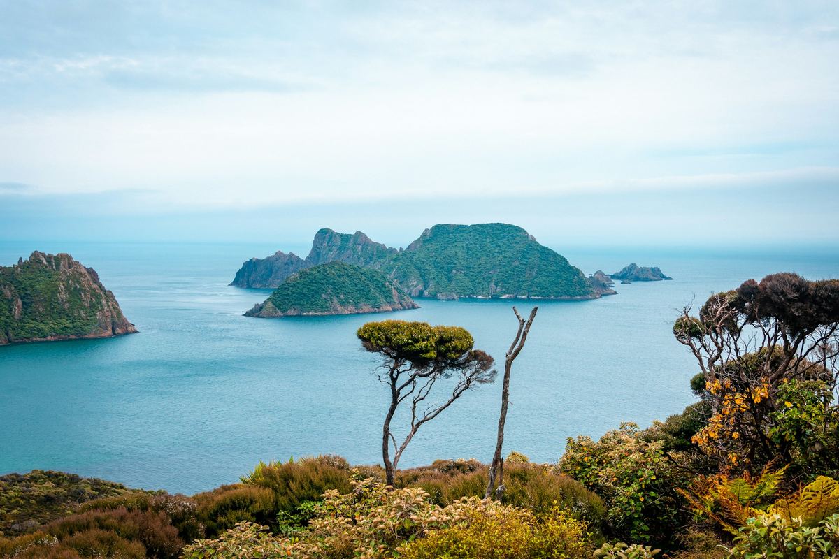 Bush-clad islands off the Stewart Island coast