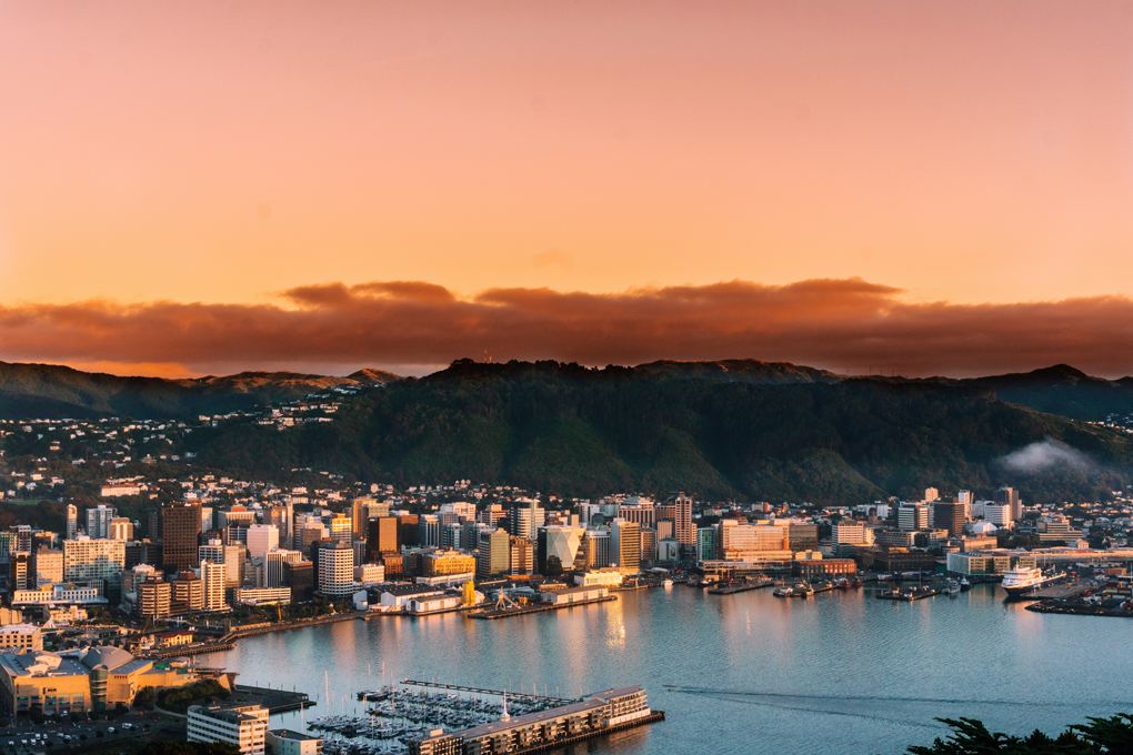 Wellington city and harbour from above